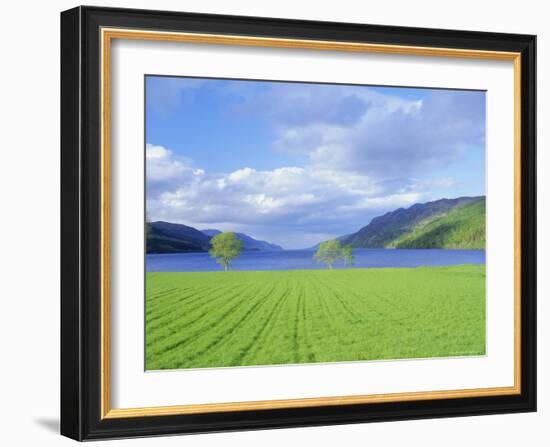 Loch Ness from the Western End, Highlands Region, Scotland, UK, Europe-I Vanderharst-Framed Photographic Print