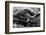 Loch Ness Monster and Young-null-Framed Photographic Print