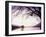 Loch Tay in the Evening, Tayside, Scotland, United Kingdom-Kathy Collins-Framed Photographic Print