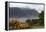 Loch Torridon and Liathach, Highland, Scotland-Peter Thompson-Framed Premier Image Canvas