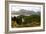 Loch Torridon and the Torridon Hills, Highland, Scotland-Peter Thompson-Framed Premium Photographic Print