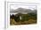Loch Torridon and the Torridon Hills, Highland, Scotland-Peter Thompson-Framed Premium Photographic Print