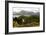 Loch Torridon and the Torridon Hills, Highland, Scotland-Peter Thompson-Framed Photographic Print