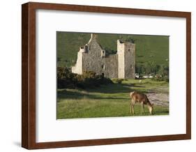 Lochranza Castle, Arran, North Ayrshire, Scotland-Peter Thompson-Framed Photographic Print