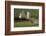 Lochranza Castle, Arran, North Ayrshire, Scotland-Peter Thompson-Framed Photographic Print