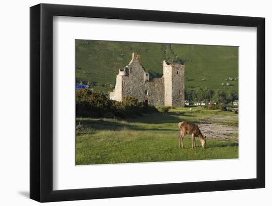 Lochranza Castle, Arran, North Ayrshire, Scotland-Peter Thompson-Framed Photographic Print