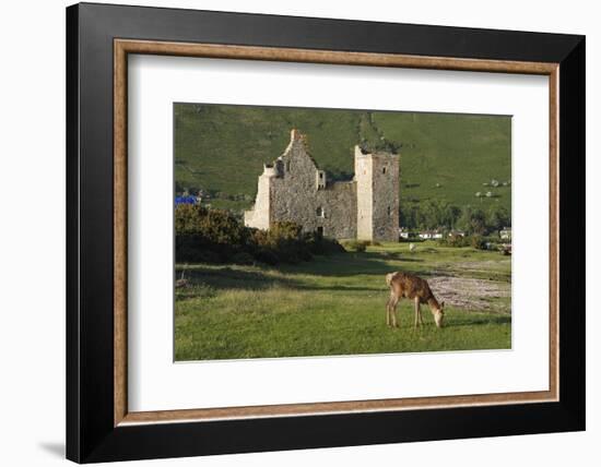 Lochranza Castle, Arran, North Ayrshire, Scotland-Peter Thompson-Framed Photographic Print