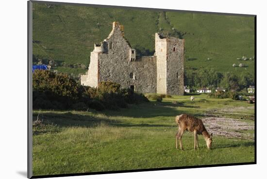 Lochranza Castle, Arran, North Ayrshire, Scotland-Peter Thompson-Mounted Photographic Print