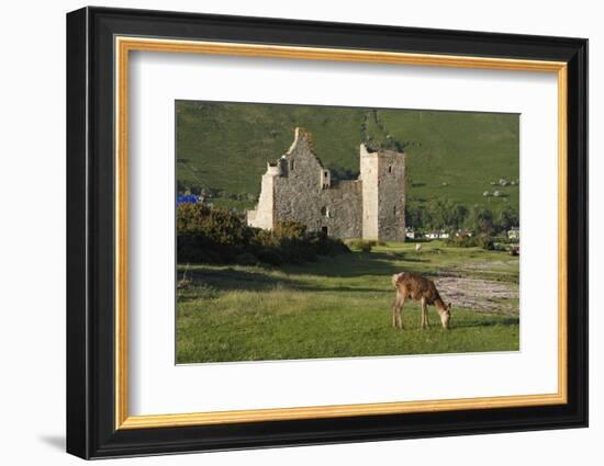 Lochranza Castle, Arran, North Ayrshire, Scotland-Peter Thompson-Framed Photographic Print