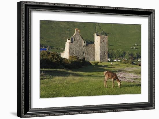 Lochranza Castle, Arran, North Ayrshire, Scotland-Peter Thompson-Framed Premium Photographic Print