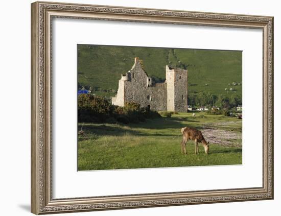 Lochranza Castle, Arran, North Ayrshire, Scotland-Peter Thompson-Framed Photographic Print