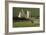Lochranza Castle, Arran, North Ayrshire, Scotland-Peter Thompson-Framed Photographic Print