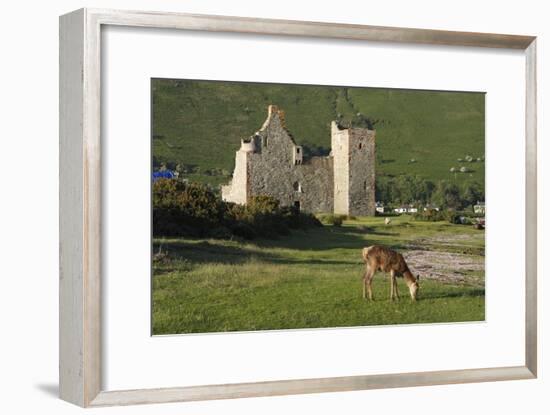 Lochranza Castle, Arran, North Ayrshire, Scotland-Peter Thompson-Framed Photographic Print