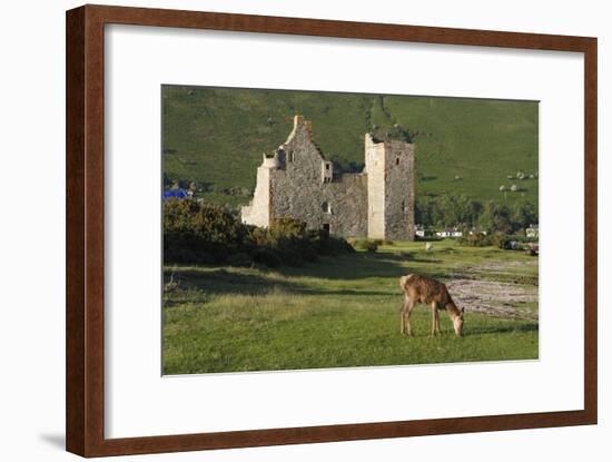 Lochranza Castle, Arran, North Ayrshire, Scotland-Peter Thompson-Framed Photographic Print