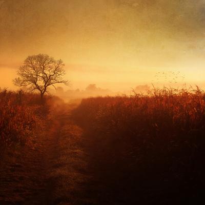 Locked Out Photographic Print By Philippe Sainte Laudy Art Com