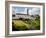 Lockes Whiskey Distillery , Kilbeggan, County Westmeath, Ireland-null-Framed Photographic Print