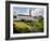 Lockes Whiskey Distillery , Kilbeggan, County Westmeath, Ireland-null-Framed Photographic Print