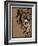 Lockhart's Elephants, 19th Century-null-Framed Giclee Print