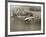 Lockheed Constellation, New York 1950-Clyde Sunderland-Framed Giclee Print