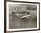 Lockheed Constellation, New York 1950-Clyde Sunderland-Framed Giclee Print