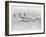 Lockheed Constellation-null-Framed Photographic Print