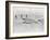 Lockheed Constellation-null-Framed Photographic Print