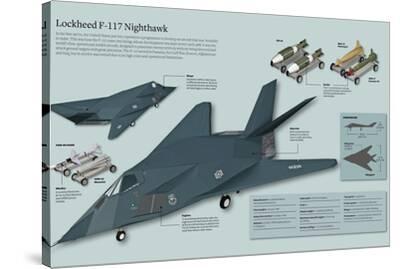 Legends Never Die F-117 Nighthawk Photo encadrée double passe-partout