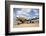 Lockheed L-049 'Constellation', Tucson, Arizona, USA-Jamie & Judy Wild-Framed Photographic Print