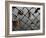 Locks on the Bridges of Paris are Quite Popular for Couples to Manifest their Wish for Eternal Love-David Bank-Framed Photographic Print