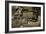 Locomotive on the United States Military Railroad, 1861-65-Mathew Brady-Framed Giclee Print