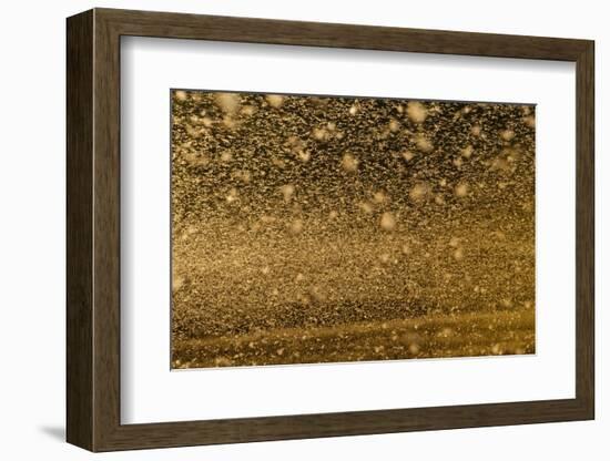 Locust Plague (Locusta Migratoria Capito) Threatens Crops in South Madagascar, June 2010-Inaki Relanzon-Framed Photographic Print