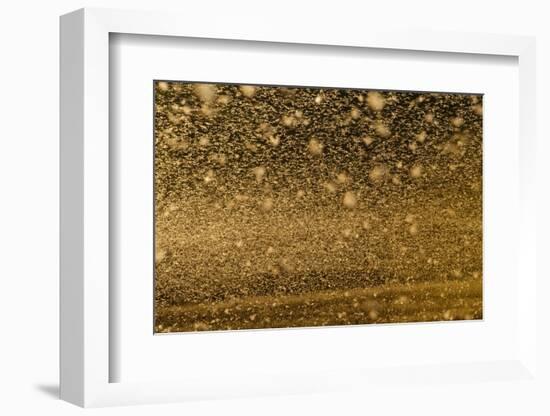 Locust Plague (Locusta Migratoria Capito) Threatens Crops in South Madagascar, June 2010-Inaki Relanzon-Framed Photographic Print