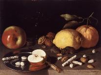 Still Life with Mice, 1619-Lodewik Susi-Premier Image Canvas