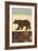 Lodge Bear-Norman Wyatt Jr.-Framed Art Print