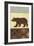 Lodge Bear-Norman Wyatt Jr.-Framed Art Print