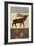 Lodge Elk-Norman Wyatt Jr.-Framed Art Print