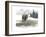 Lodge Landscape III-Grace Popp-Framed Art Print