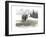 Lodge Landscape III-Grace Popp-Framed Art Print