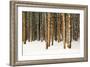 Lodge Poles-Howard Ruby-Framed Photographic Print