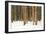 Lodge Poles-Howard Ruby-Framed Photographic Print