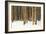 Lodge Poles-Howard Ruby-Framed Photographic Print