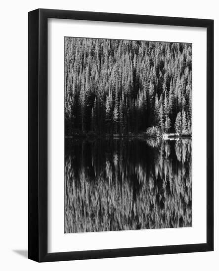 Lodgepole Pines Along Bear Lake, Rocky Mountains National Park, Colorado, USA-Adam Jones-Framed Photographic Print