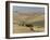 Loess Hills in John Day River Basin, Wheeler County, Oregon, United States of America-Tony Waltham-Framed Photographic Print