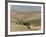 Loess Hills in John Day River Basin, Wheeler County, Oregon, United States of America-Tony Waltham-Framed Photographic Print