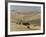 Loess Hills in John Day River Basin, Wheeler County, Oregon, United States of America-Tony Waltham-Framed Photographic Print