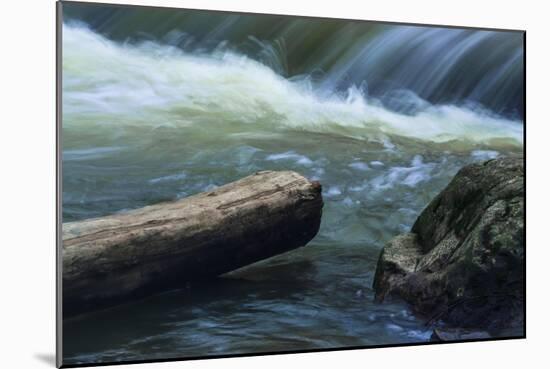 Log And Boulder Beneath Slow Waterfalls-Anthony Paladino-Mounted Giclee Print