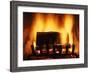 Log Burning in Fireplace-Chris Rogers-Framed Photographic Print