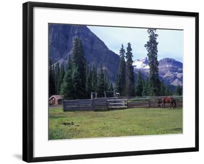 Log Cabin Horse And Corral Banff National Park Alberta Canada