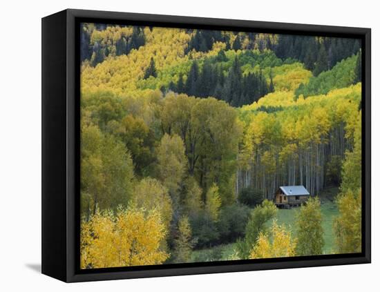 Log Cabin in Fall Colors, Dolores, San Juan National Forest, Colorado, USA-Rolf Nussbaumer-Framed Premier Image Canvas