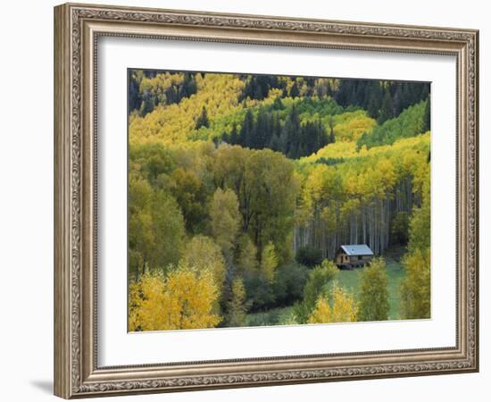 Log Cabin in Fall Colors, Dolores, San Juan National Forest, Colorado, USA-Rolf Nussbaumer-Framed Photographic Print